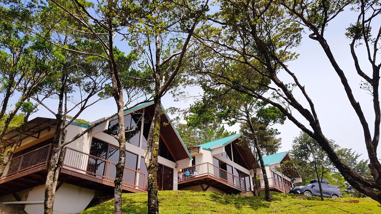 Green Forest Rustic Houses Monteverde Exteriér fotografie